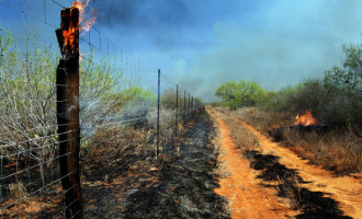 Fire Suggested as Wildlife Management Tool Fire Suggested as Wildlife Management Tool