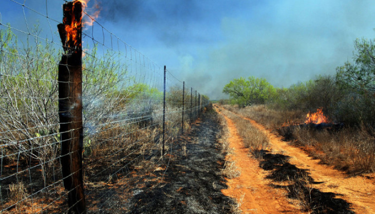 Fire Suggested as Wildlife Management Tool