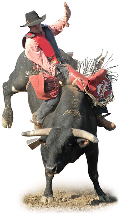 Professional bull riding comes to DeKalb County