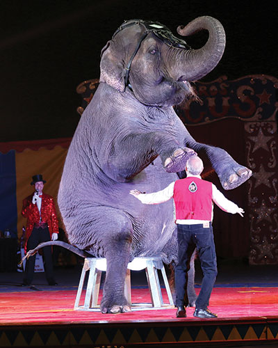 Spokesman says Loomis Bros. Circus Is proud to showcase elephants