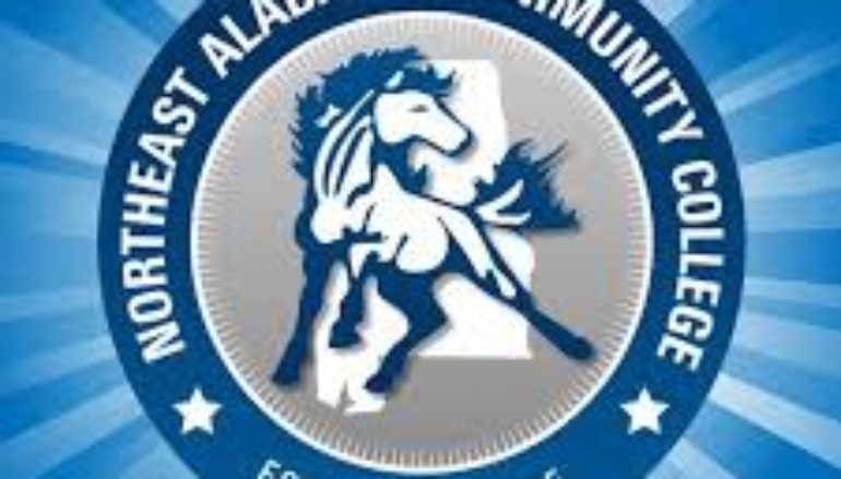 Annual DeKalb County AFAPA Run/Walk to be held at NACC