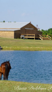 The Wigley's have turned their old barn into an elegant event venue. (Dana Dobbins) 