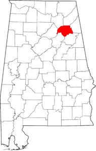 Amendment 7, like several others, applies only to one county. In this case, Etowah. If this annoys you, vote "Yes" on Amendment 3. 