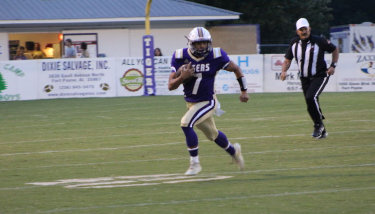 Panthers v. Tigers
