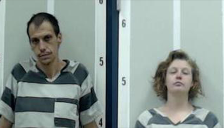 Two arrested after string of thefts in Sylvania