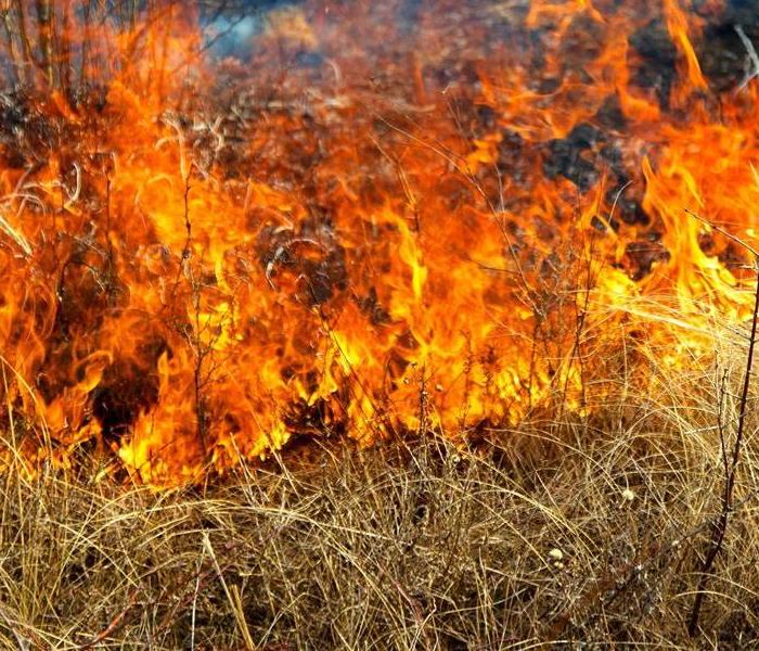 Summer Burn Ban Goes Into Effect | Southern Torch