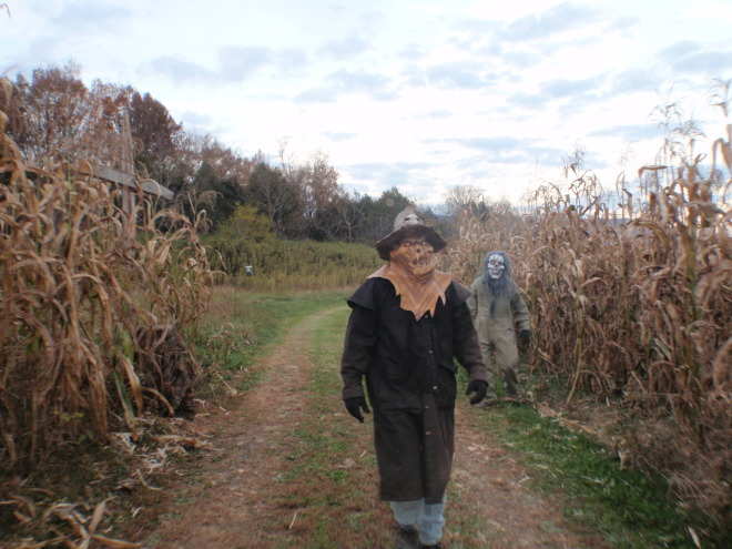 The Haunted Trade Day Hayride!