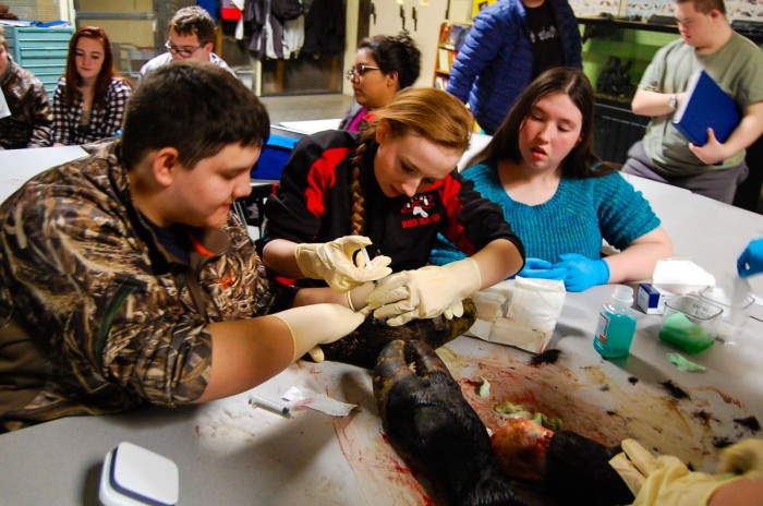 Farmers May Nominate School Districts for Grants to Improve Science, Math