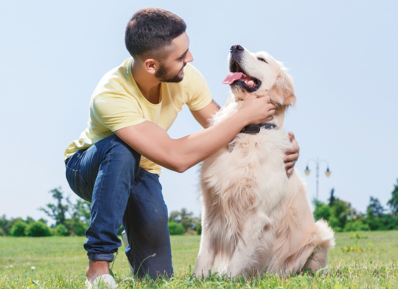 Little River Canyon Center presents 2nd Annual DOG DAZE: A Furry Fest for Dogs & Their Humans