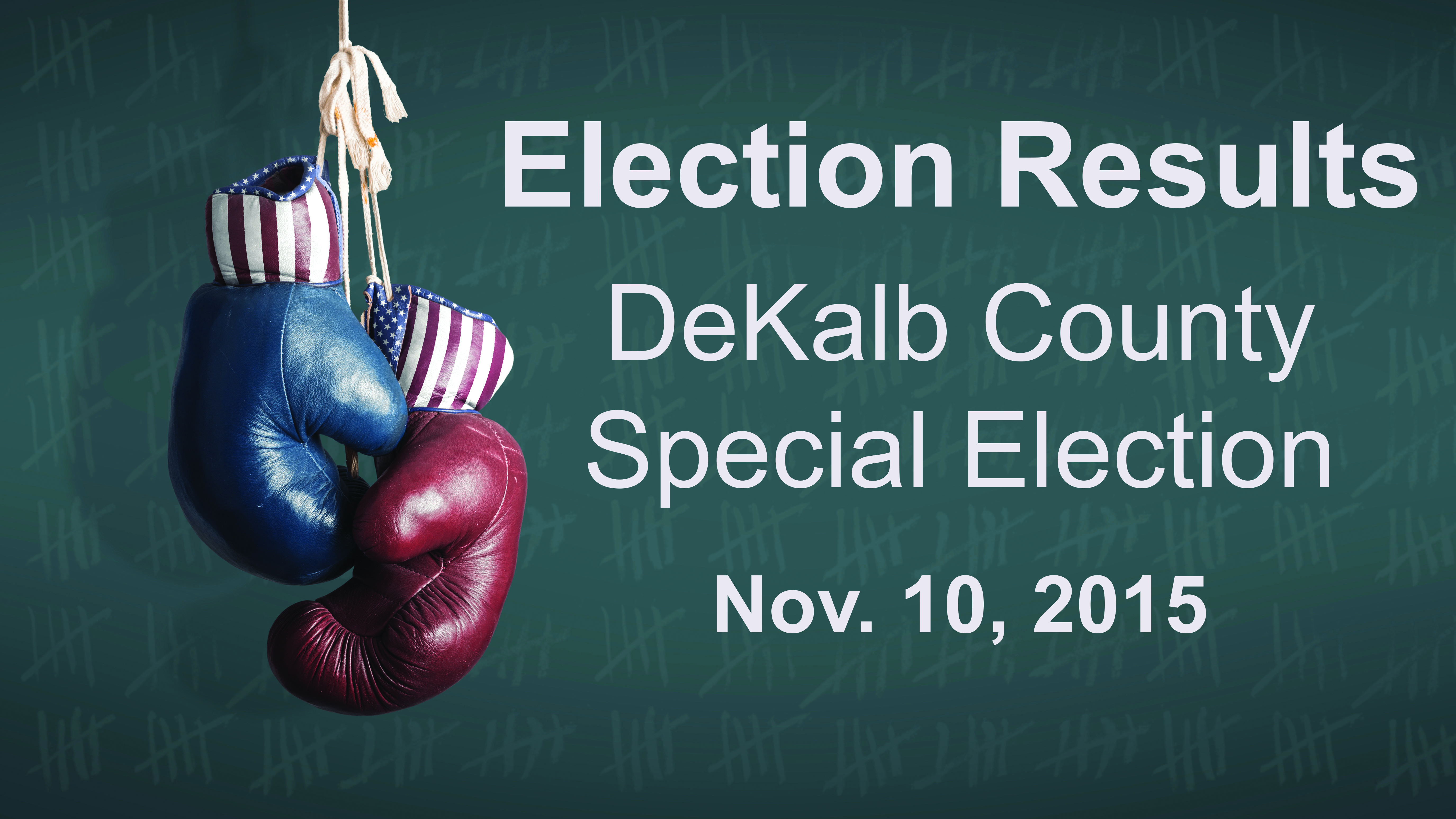 Election Day 2014 - Democrats and Republicans in the campaign