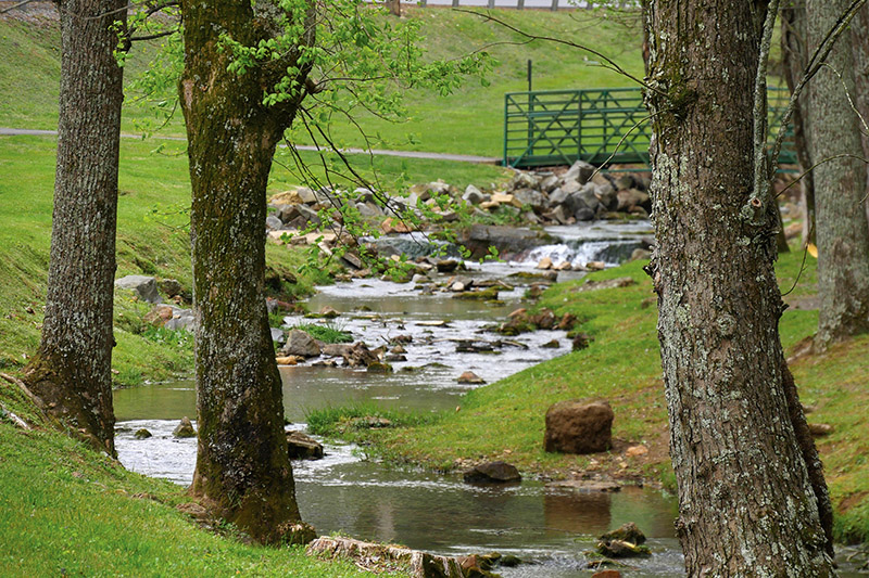 Valley Head holds annual Duck Race and Earth Day Celebration