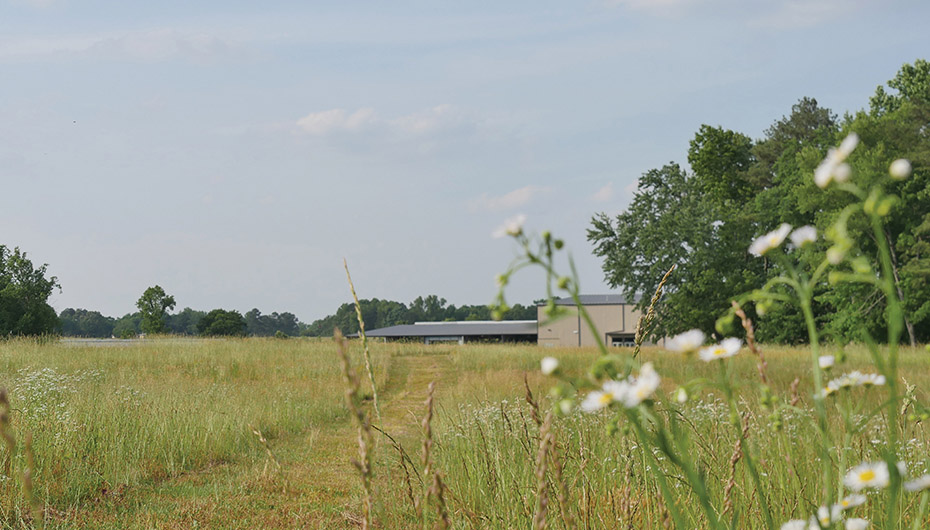 Rainsville seeks help to complete walking trail