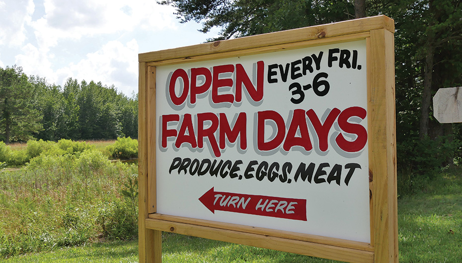 Open Farm Fridays at the Farm at Windy Hill