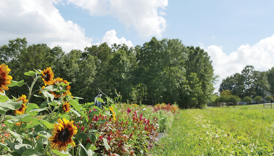 Farm at Windy Hill hosts ‘Soup and Song’ tomorrow!