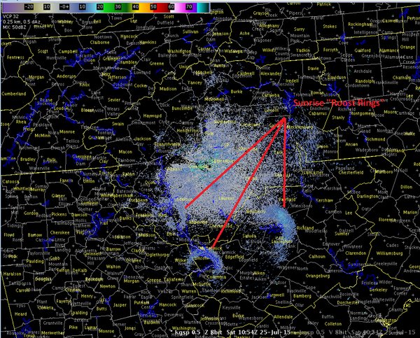 Radar picks up strange ring shapes in skies over DeKalb