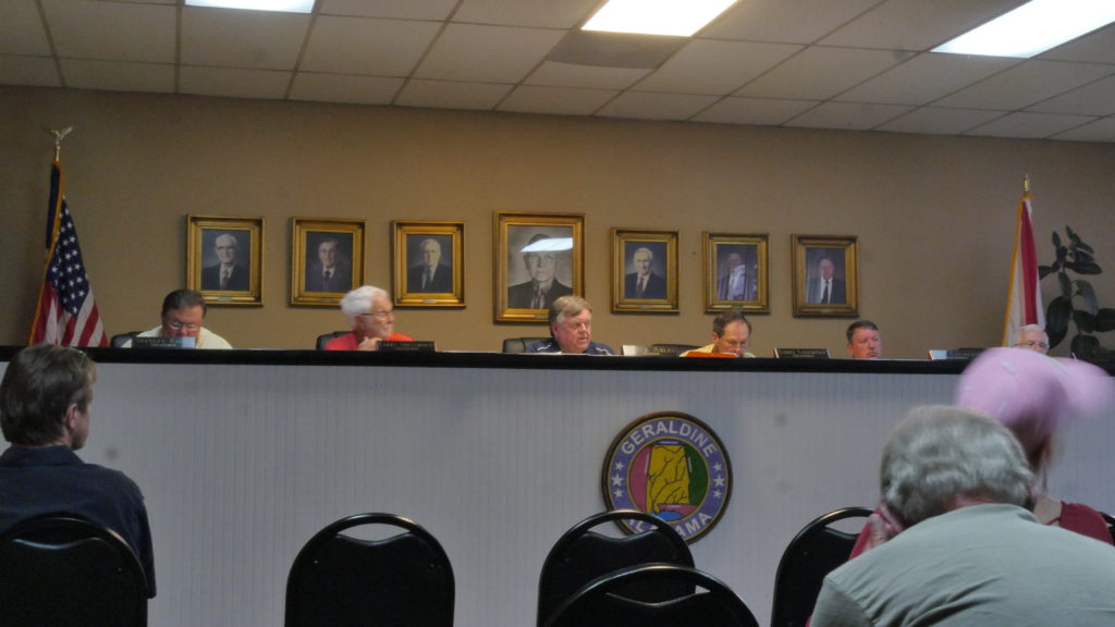 Geraldine Town Council Update for September Southern Torch