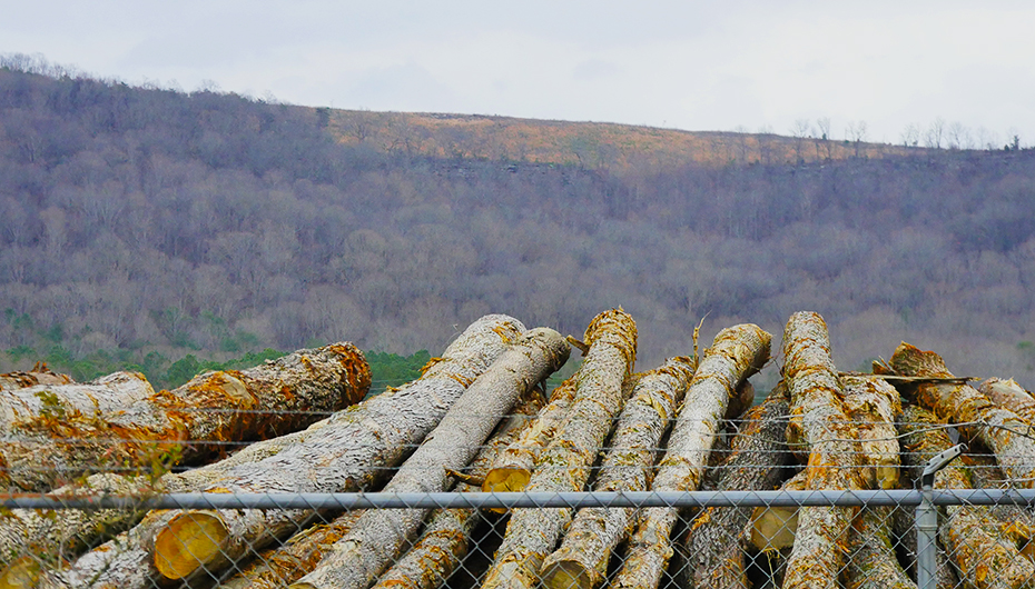 Fort Payne holds Public Meeting on Logging Ordinance (VIDEO)