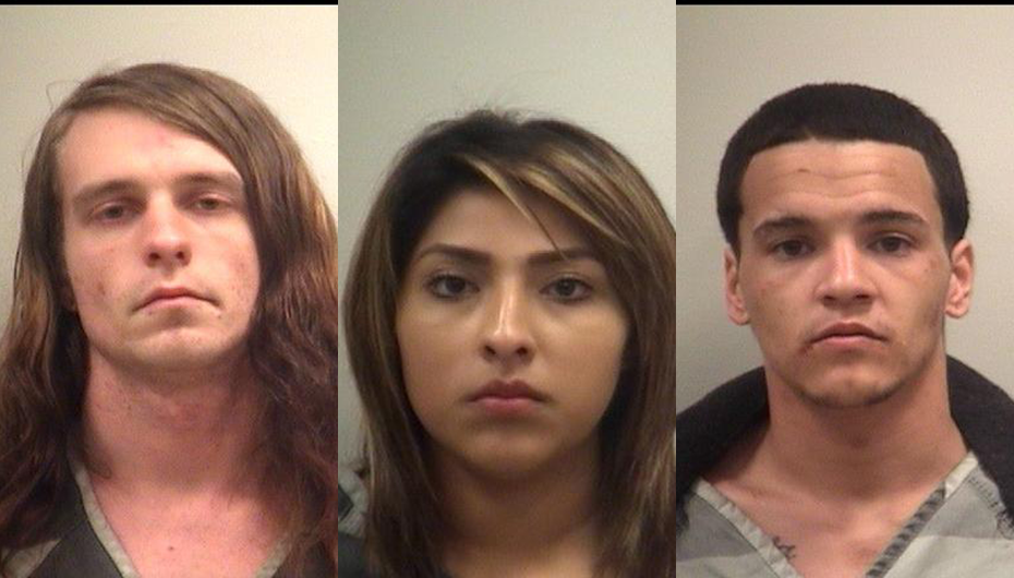 DeKalb K-9 Units makes multiple drug arrests