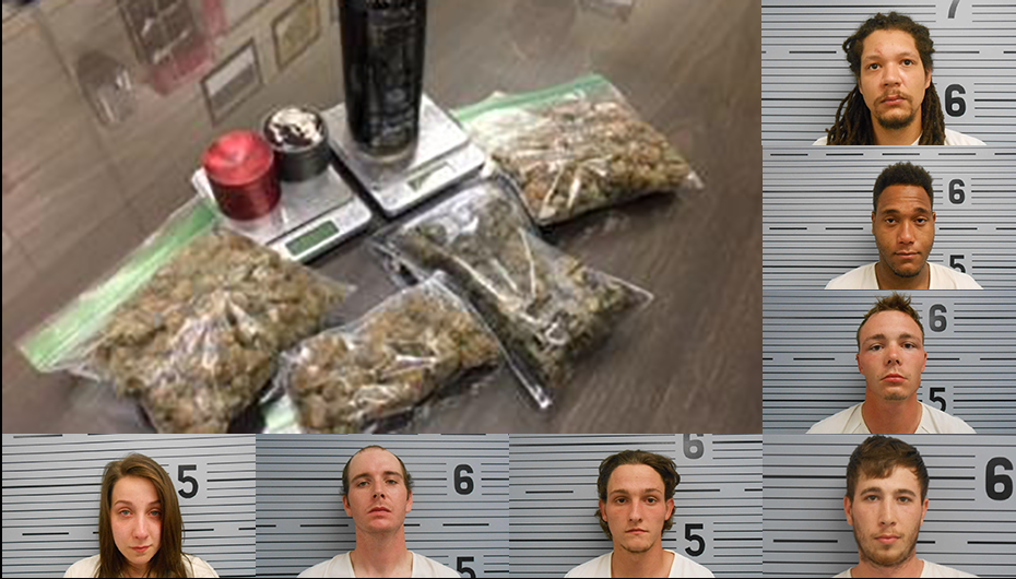 Month long investigation and search warrant leads to drug arrest in Section