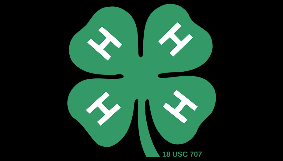 The 4-H Statewide Horse show is here!