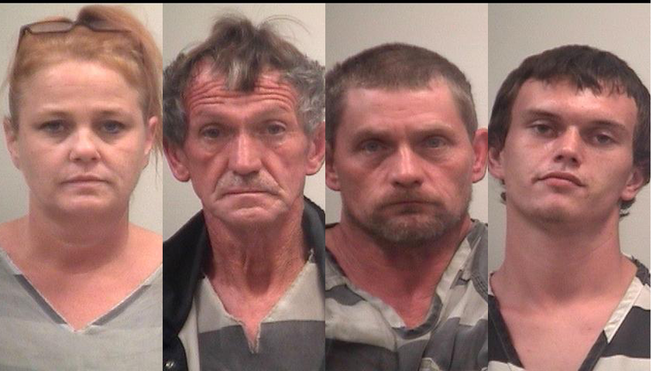 Several arrested for drug possession in traffic stops on Sand Mountain