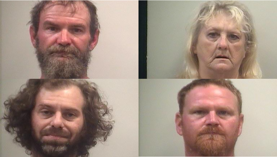 Several arrested on outstanding warrants