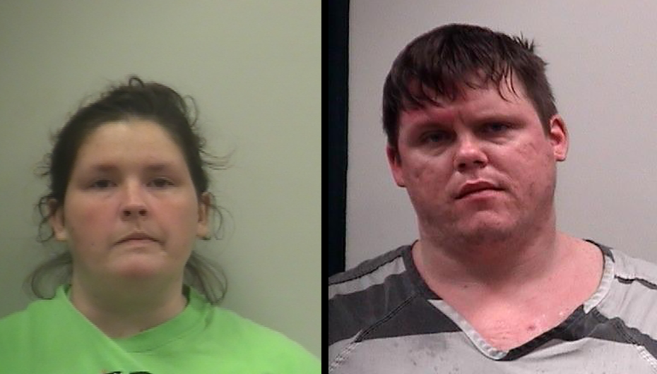 Two arrested on charges of bestiality, obscene material in Sylvania