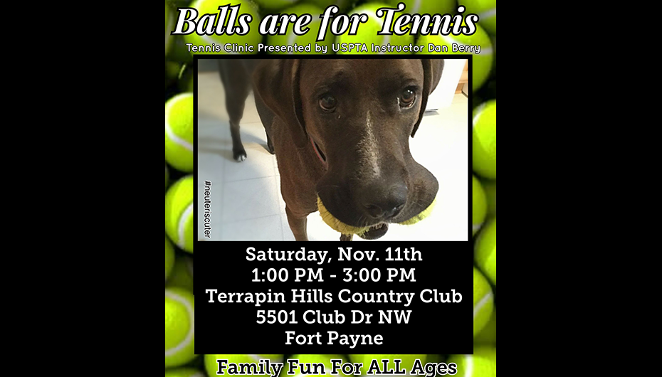 Tennis lessons to benefit Friends of Adoption Center