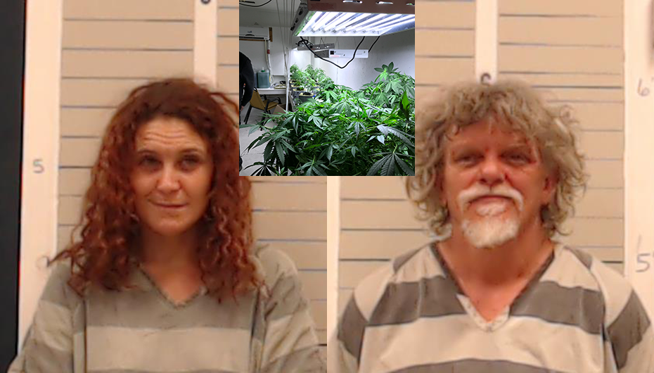 Investigators find marijuana grow during human-trafficking search in Geraldine