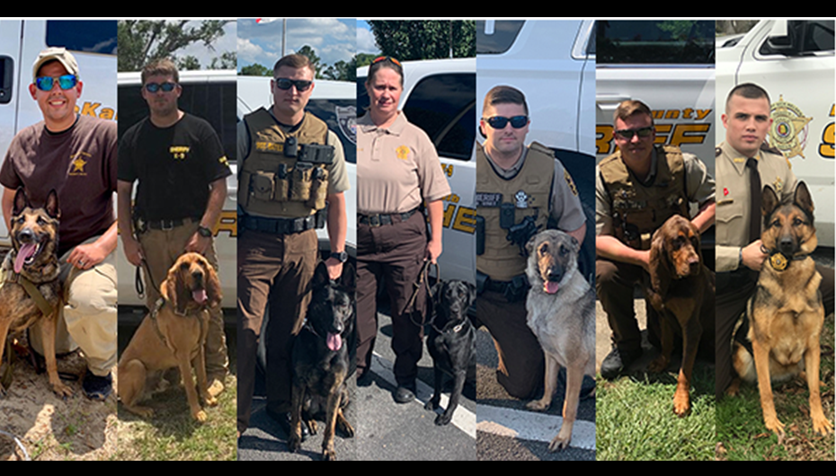 DSCO Welcomes New K-9 Units