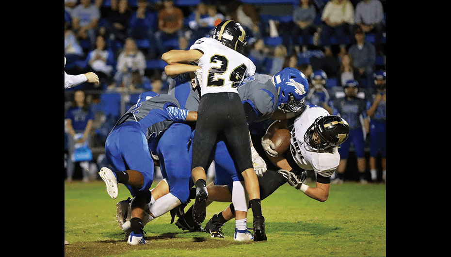 Bisons Paw the Hornets