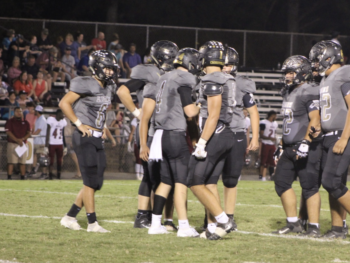 Tough Loss for the Lions