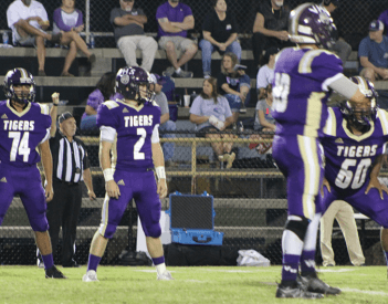 Tigers On the Attack