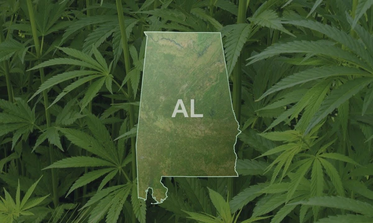 Medical Marijuana Bill to be Introduced Next Year