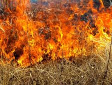 Summer Burn Ban Goes Into Effect