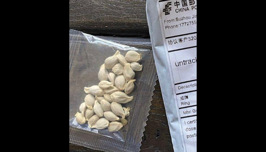 Suspicious Seeds Show Up in U.S. Mailboxes