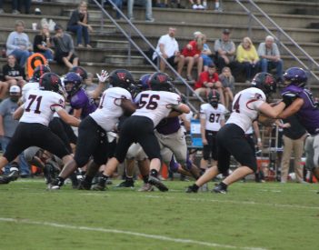 Dogs Declaw the Wildcats