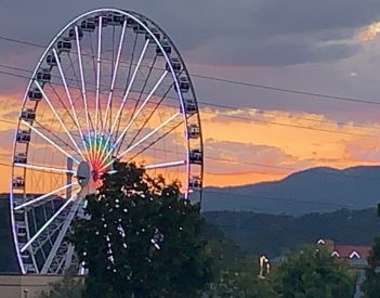Here Comes the Fair!