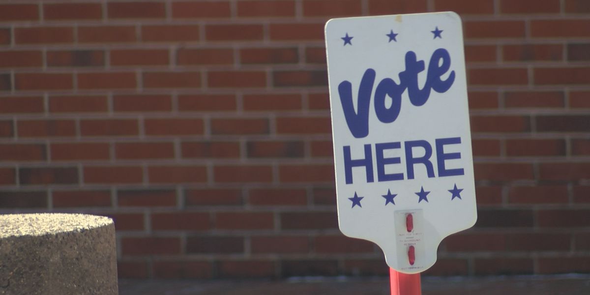 Explaining the Amendments on Your Nov. Ballot