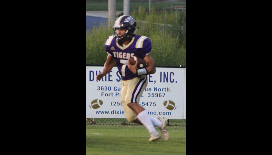 Tigers Caged the Eagles