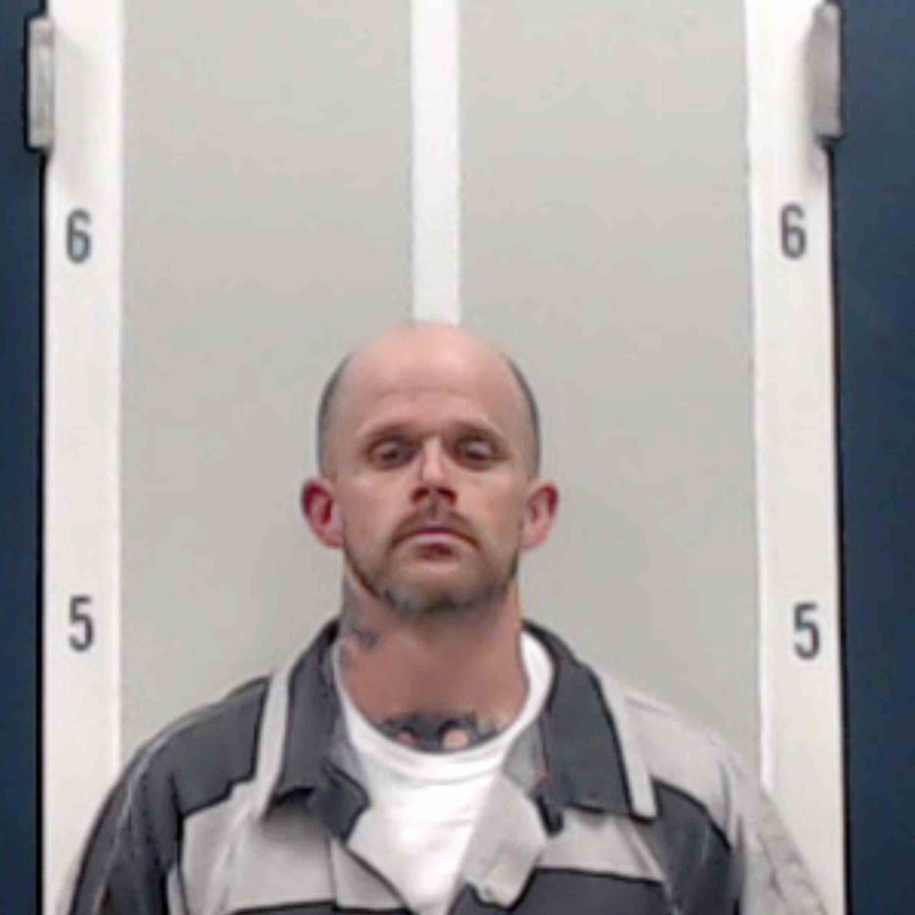 Wanted Felon Apprehended in Deer Head Cove - Southern Torch