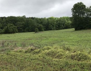 Build your dream home on these four acres in Rainsville City Limits!