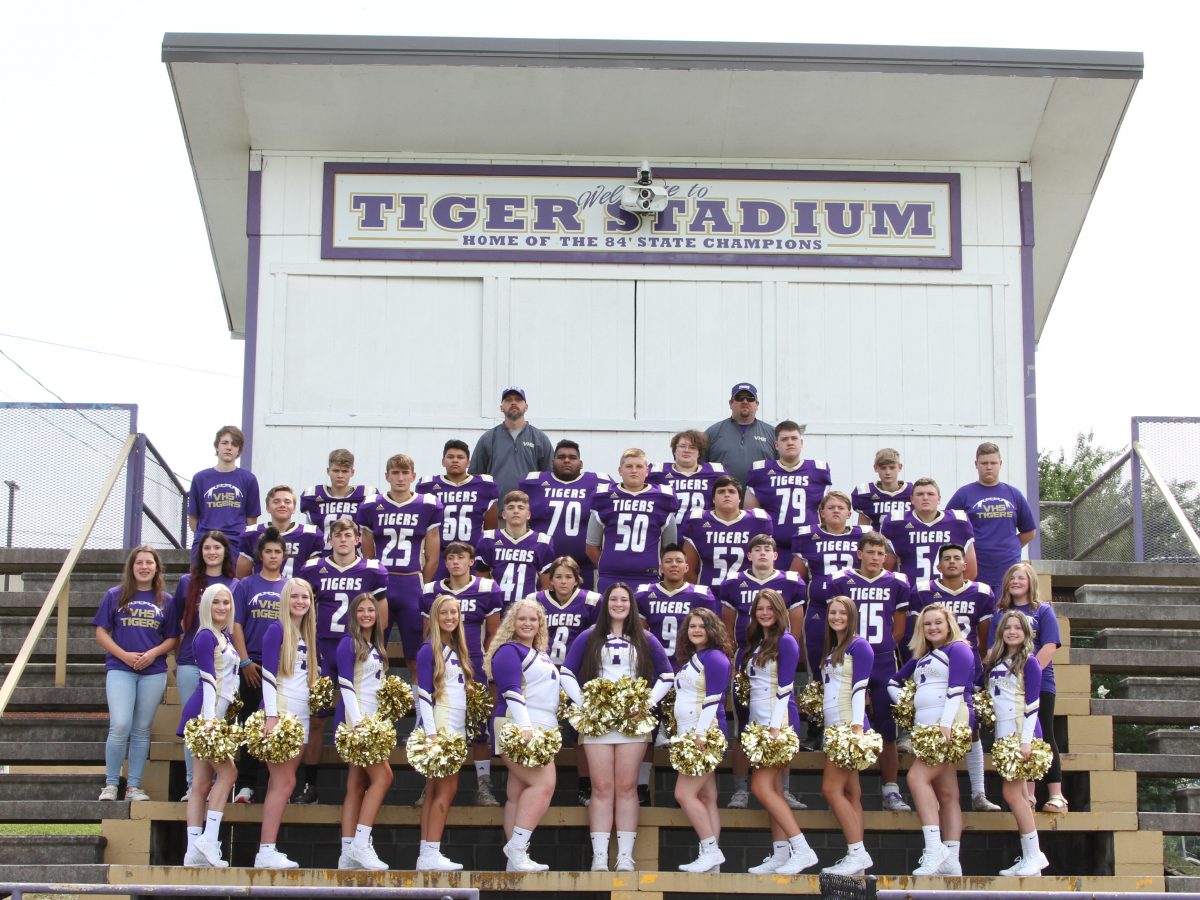 Devils Tormented the Tigers