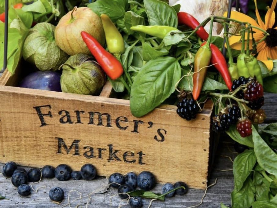 Fresh Vegetables Coming Soon Southern Torch