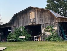 Barn Offers A Picker’s Paradise