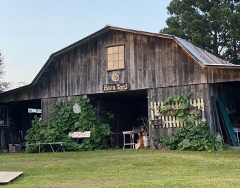 Barn Offers A Picker’s Paradise