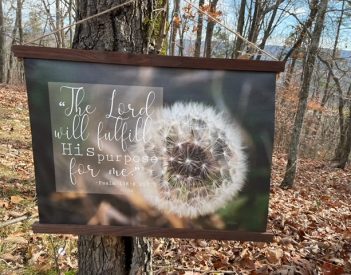 Photographer Adds Special Touch To Memories