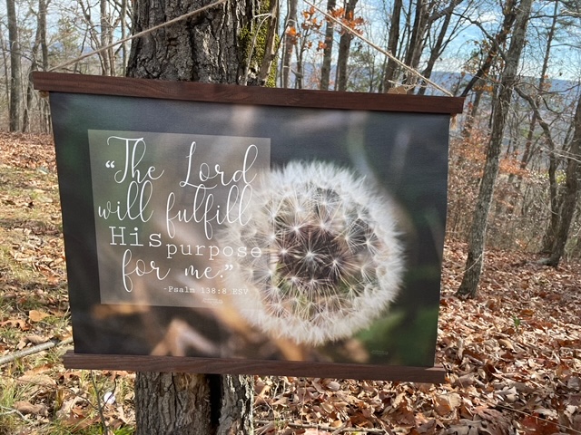 Photographer Adds Special Touch To Memories