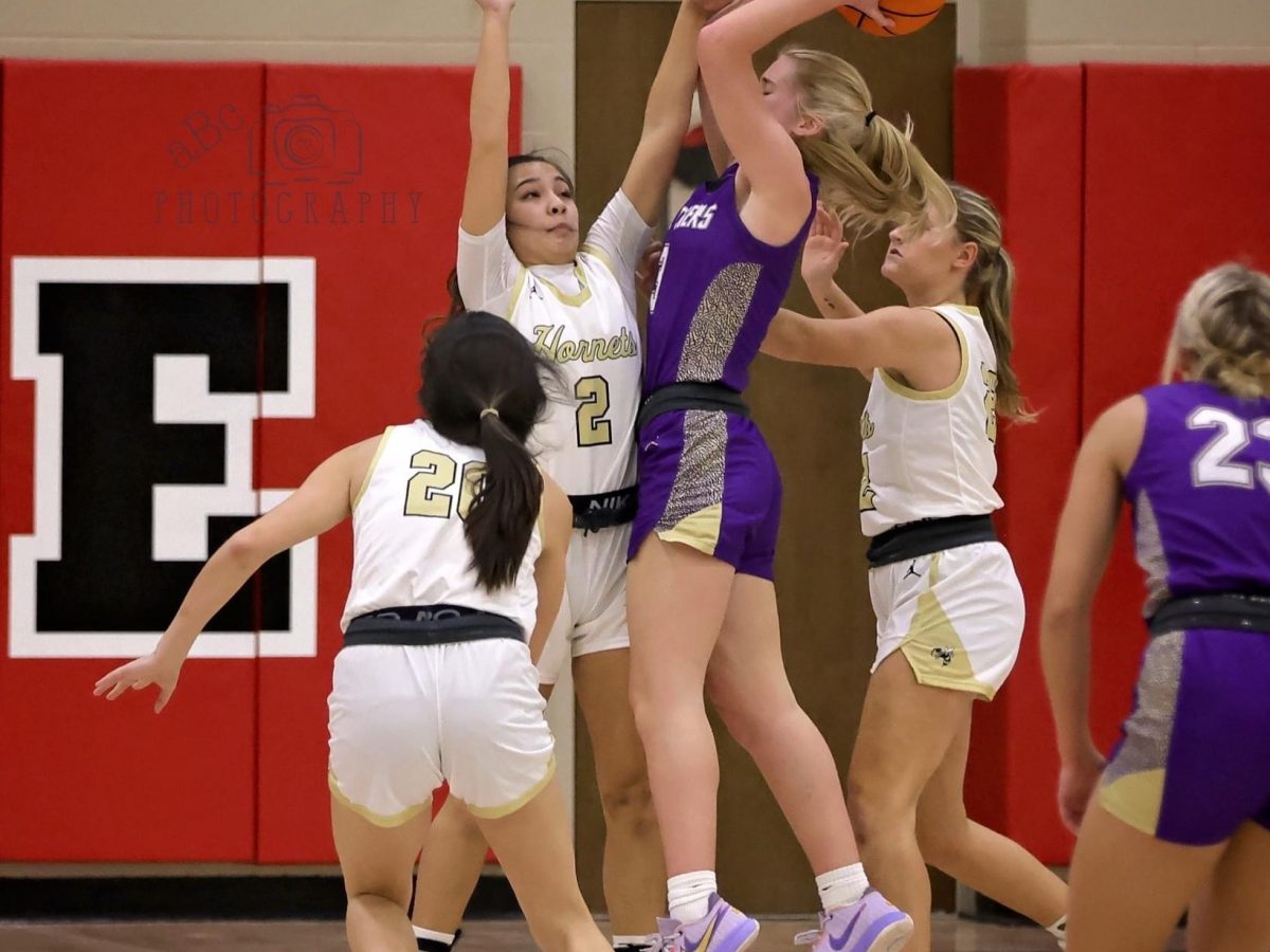 DeKalb County Basketball Tournament