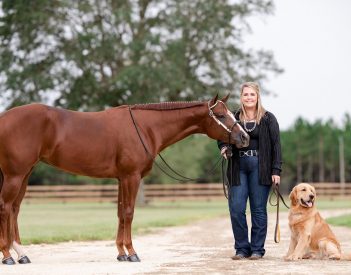 Dekalb Animal Hospital